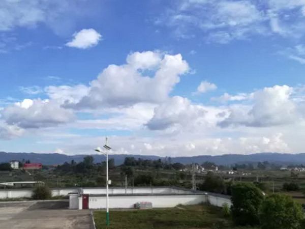 洛陽市280臺公交車項(xiàng)目"花"落中集凌宇
